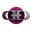 Street Stains® logo